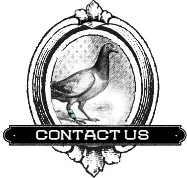 Contact Us
